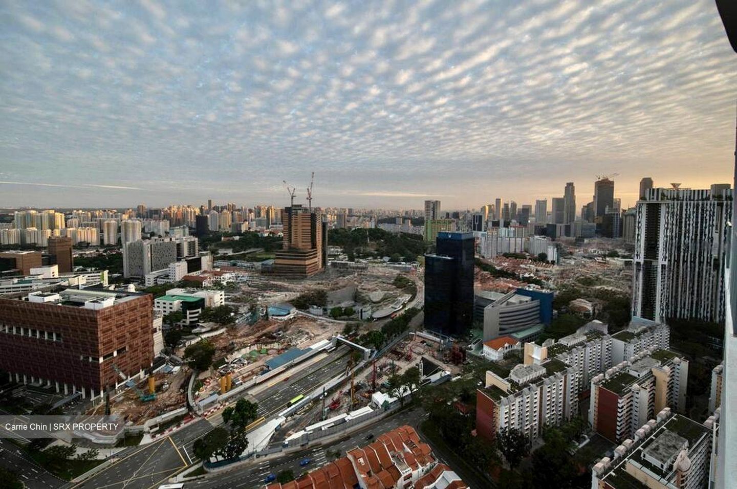 Spottiswoode Suites (D2), Apartment #446120281